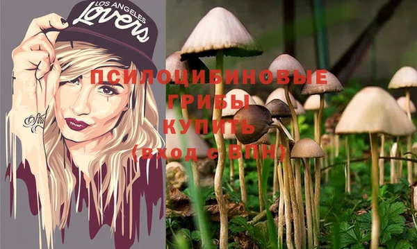 молекула духа Михайловка