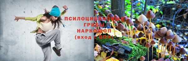 ешки Михайловск