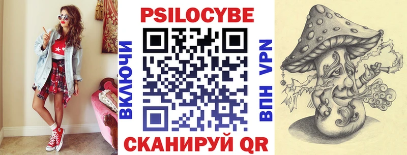 Галлюциногенные грибы Psilocybine cubensis  где купить наркоту  сайты даркнета состав  Сычёвка 